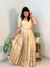 GOLDEN TISSUE BANARASI SET