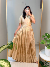 GOLDEN TISSUE BANARASI SET